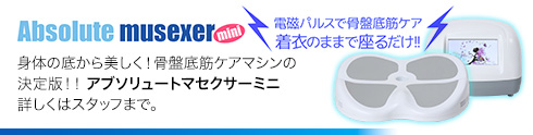 アブソリュート　マセクサー